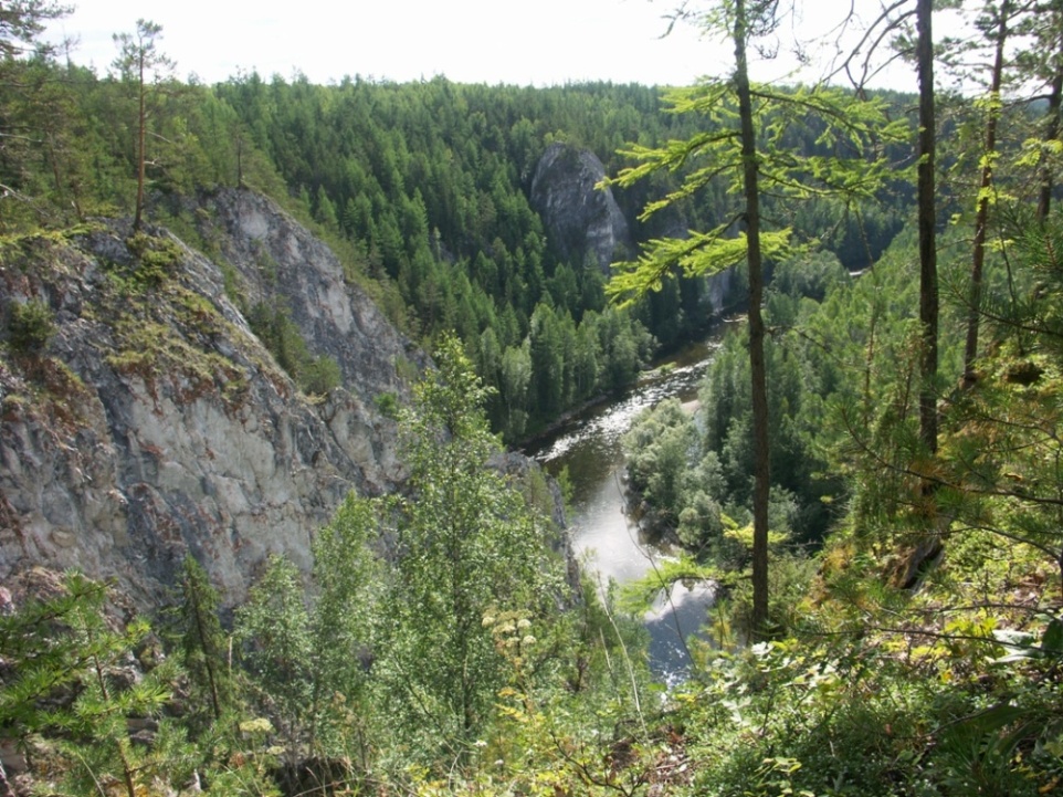 река Ивдель, image of landscape/habitat.