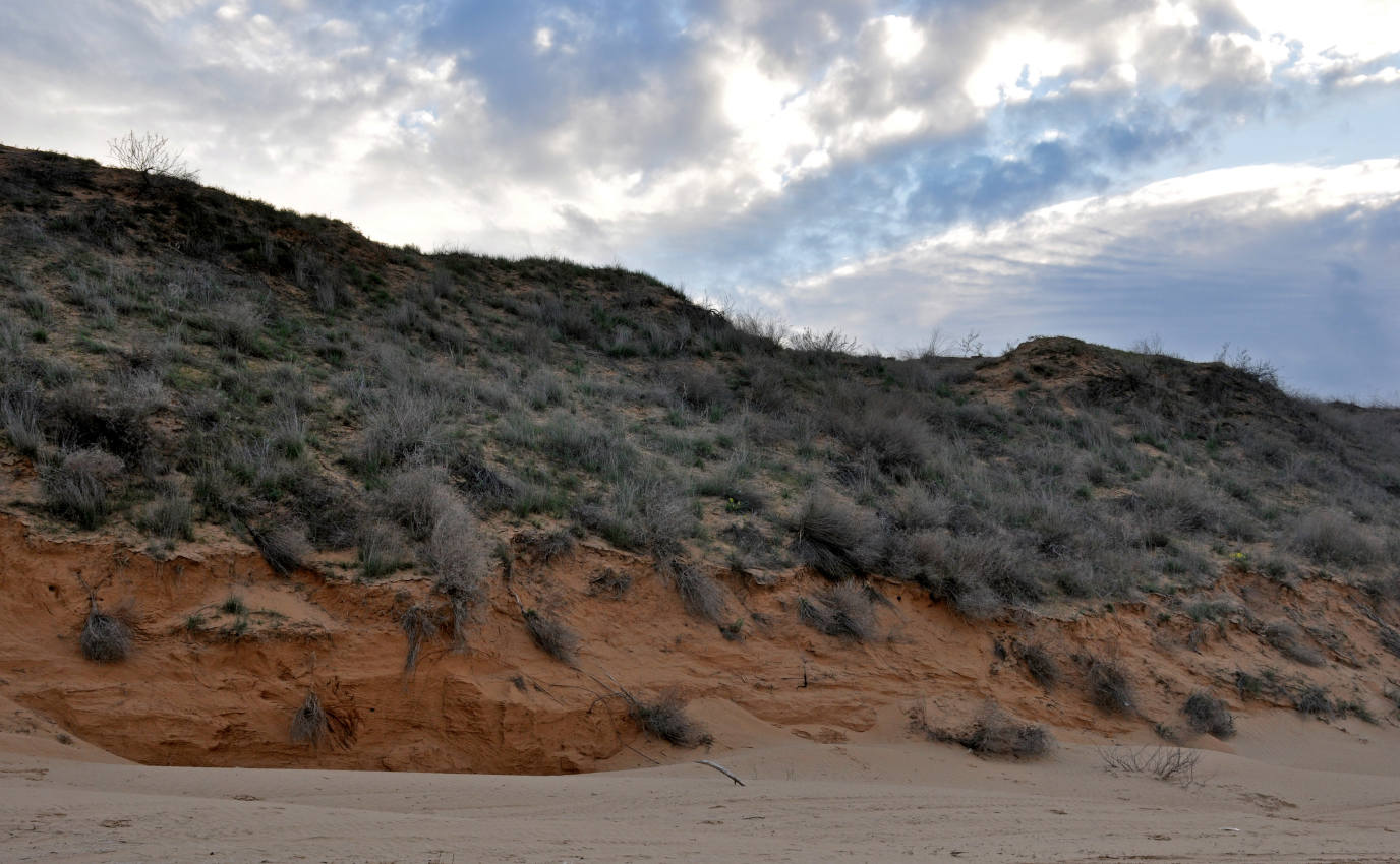 Окрестности села Рассвет, image of landscape/habitat.