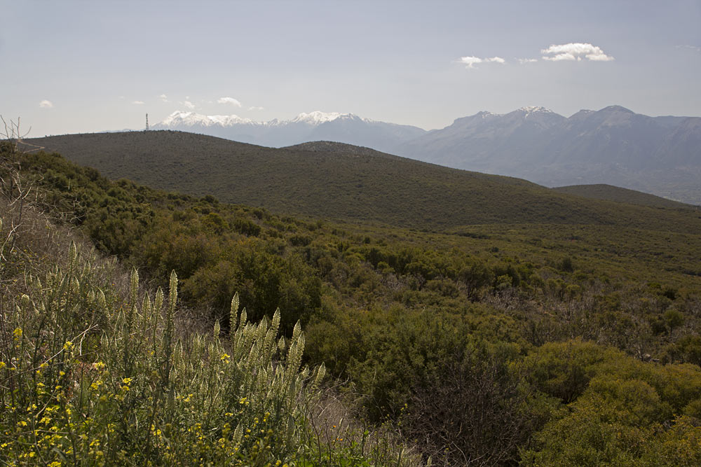 Спарта, image of landscape/habitat.