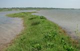 Image of landscape
