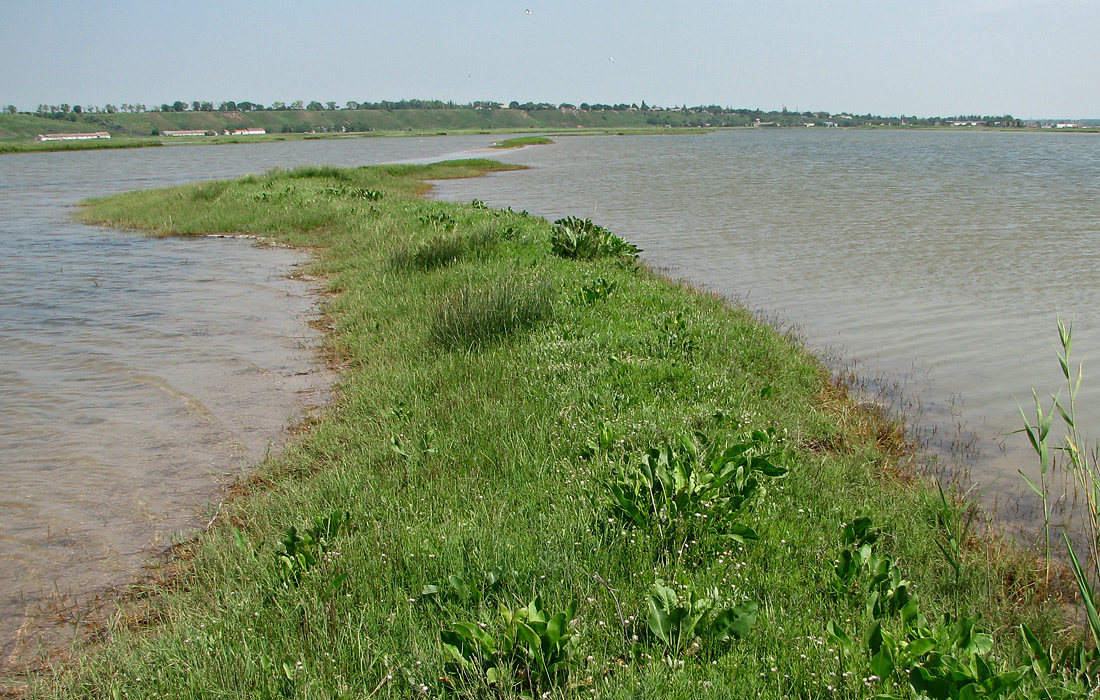 Еланчанский под, image of landscape/habitat.