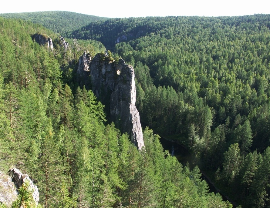 река Ивдель, image of landscape/habitat.