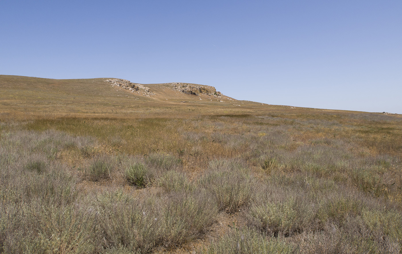 Озеро Чокрак, image of landscape/habitat.