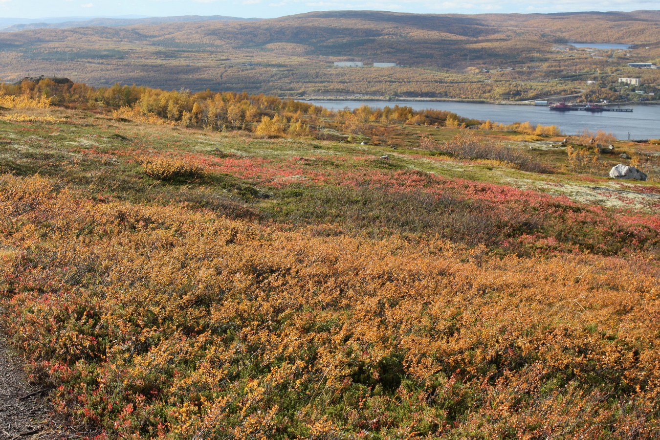 Горелая сопка, image of landscape/habitat.