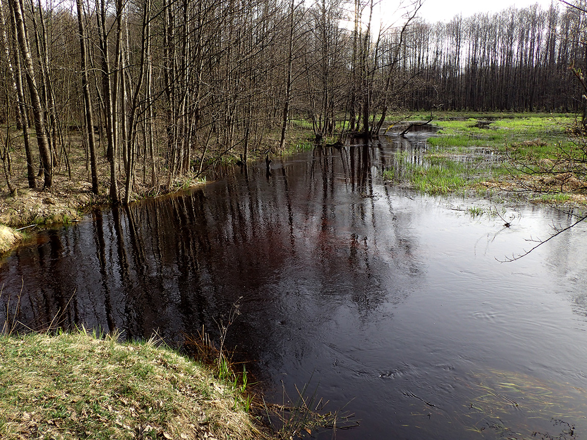 Национальный парк "Нарочанский", image of landscape/habitat.