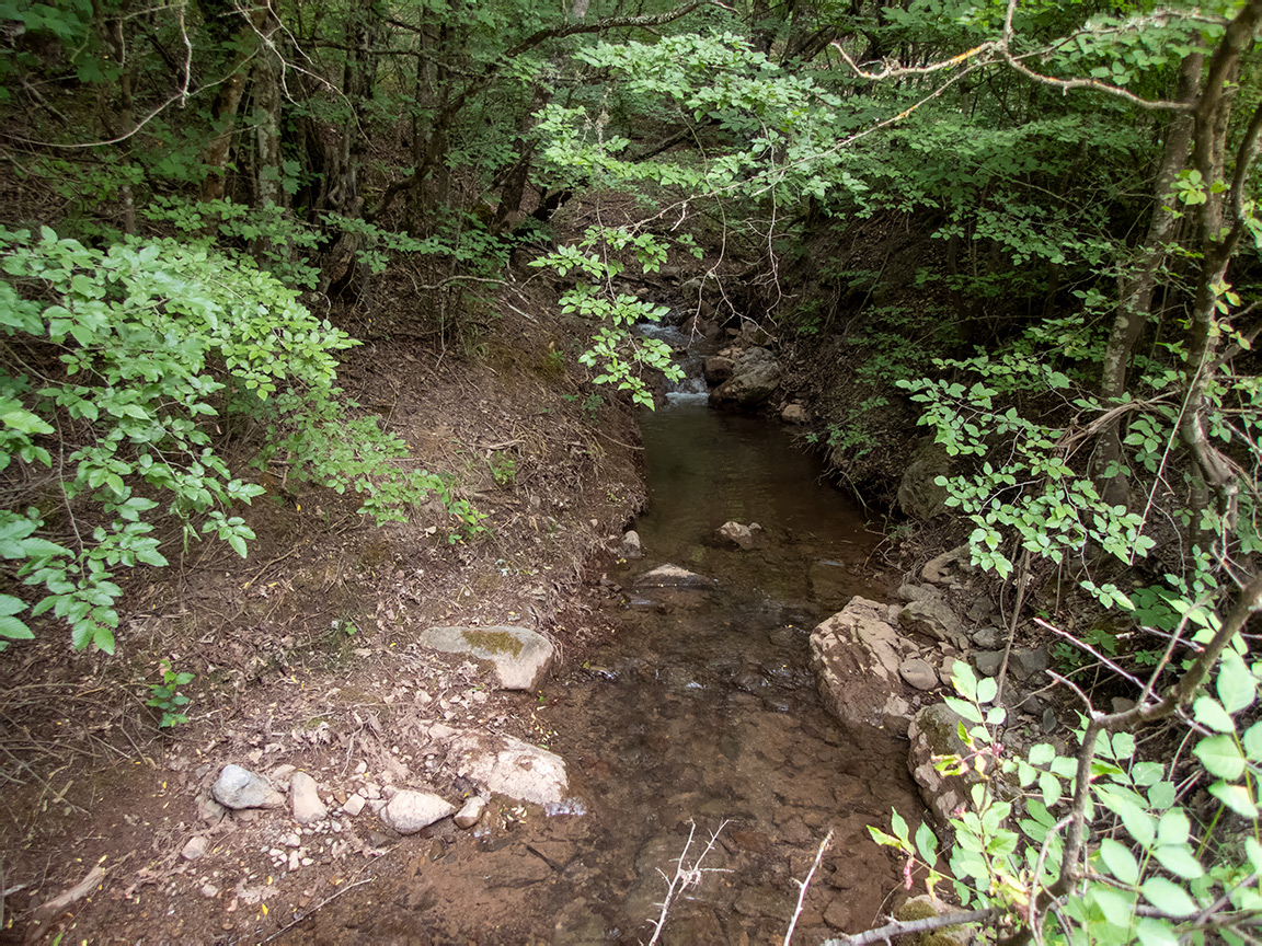 Долина реки Сотера, image of landscape/habitat.