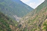 Image of landscape