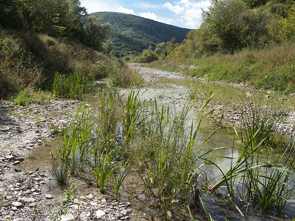 Богого, image of landscape/habitat.