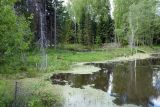 Image of landscape