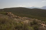 Image of landscape