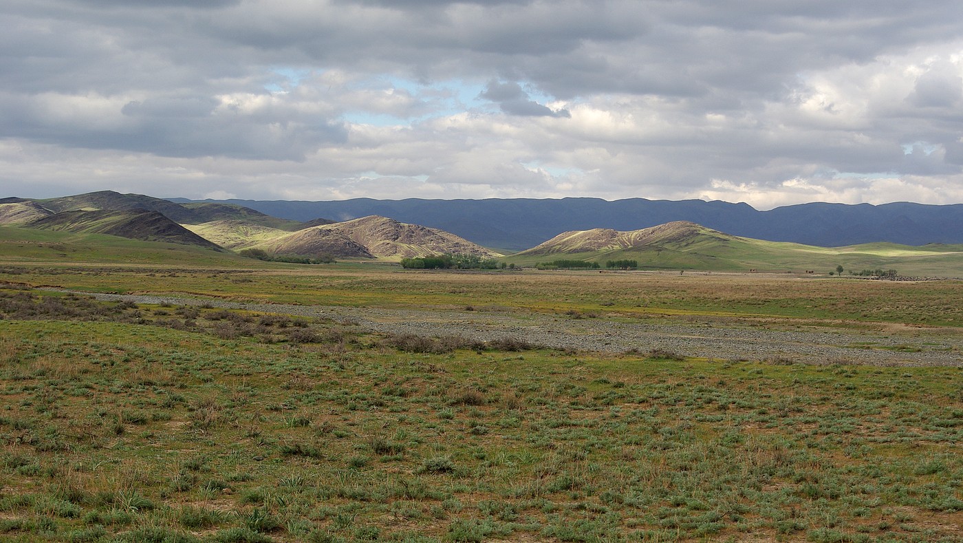 Бесарык, image of landscape/habitat.