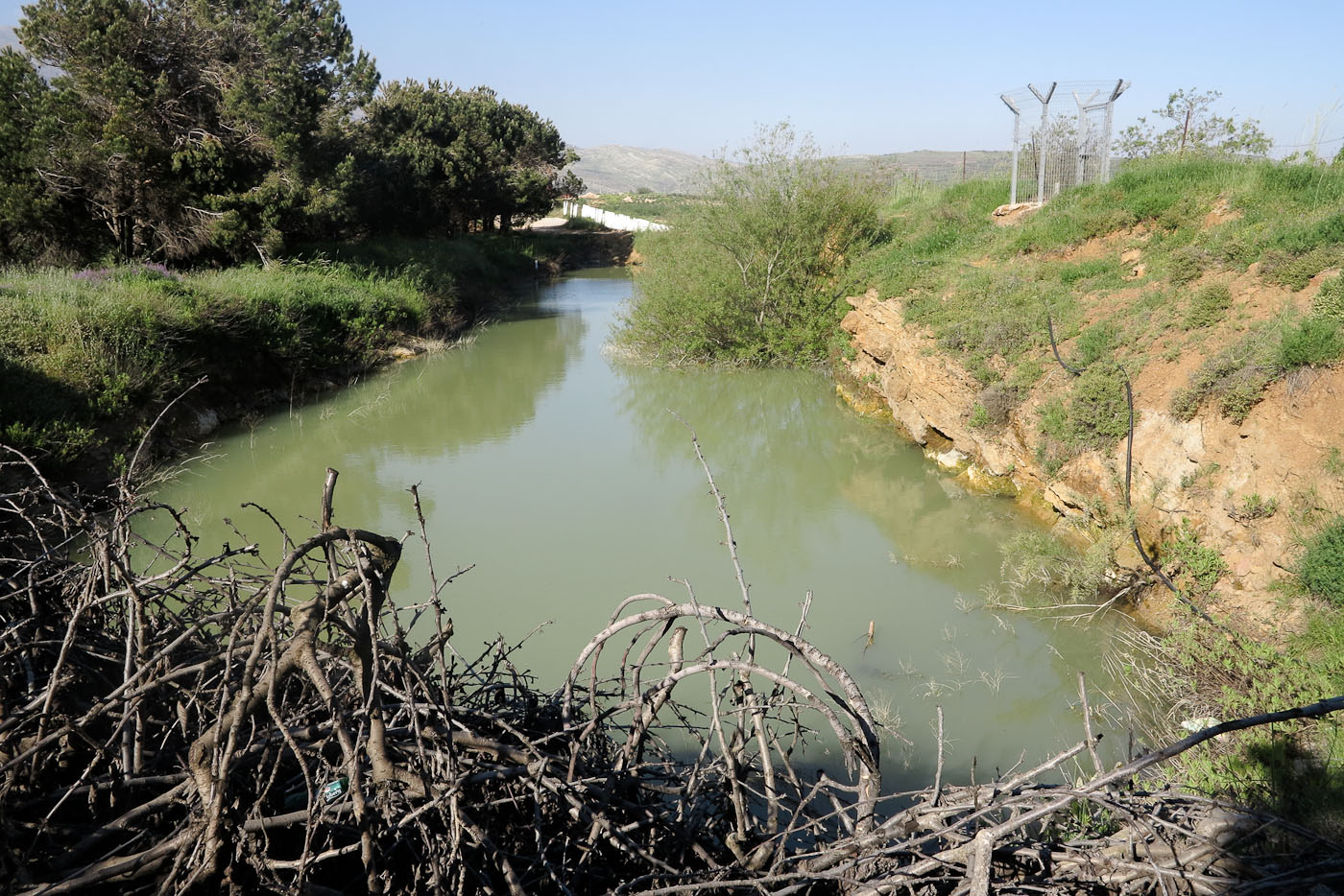 Голанские высоты, image of landscape/habitat.