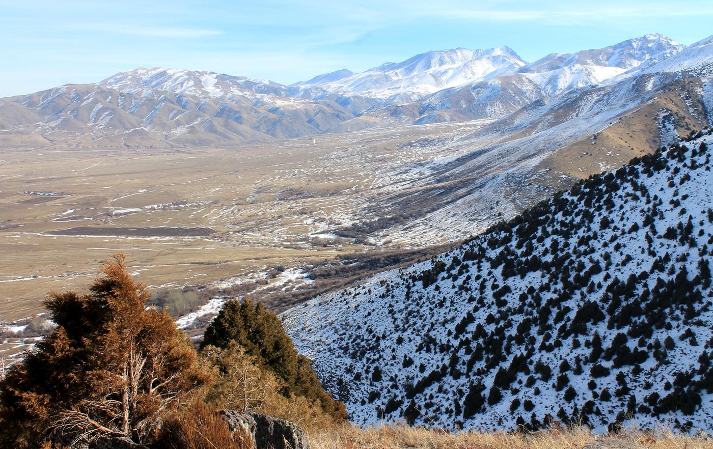 Окрестности с. Жабаглы, image of landscape/habitat.