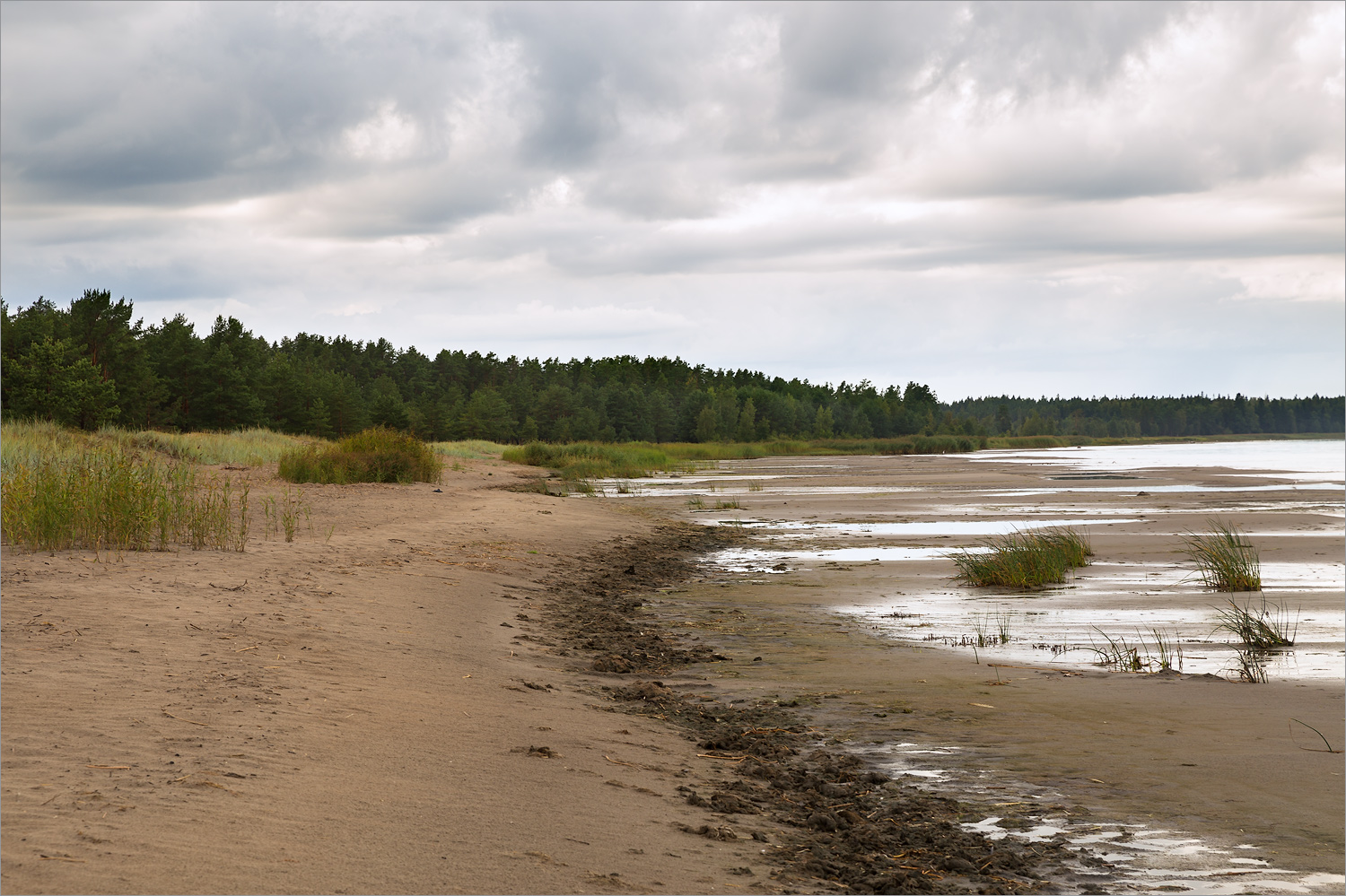 Окрестности деревни Выбье, image of landscape/habitat.