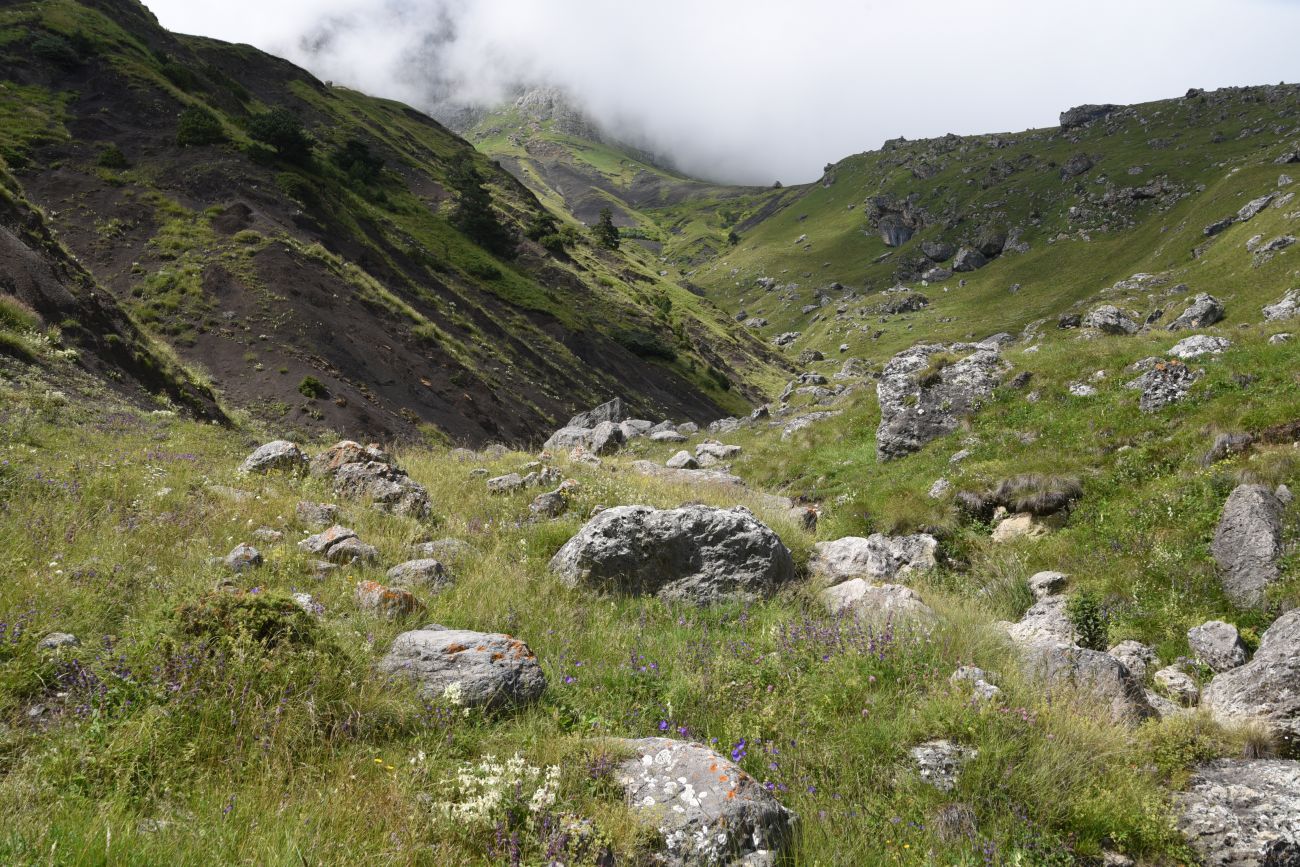 Альплагерь "Кязи" и окрестности, изображение ландшафта.