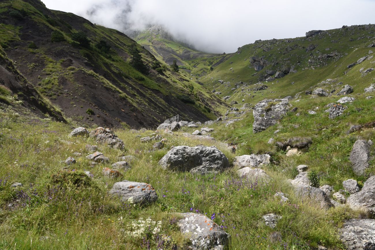 Альплагерь "Кязи" и окрестности, image of landscape/habitat.