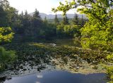 Image of landscape
