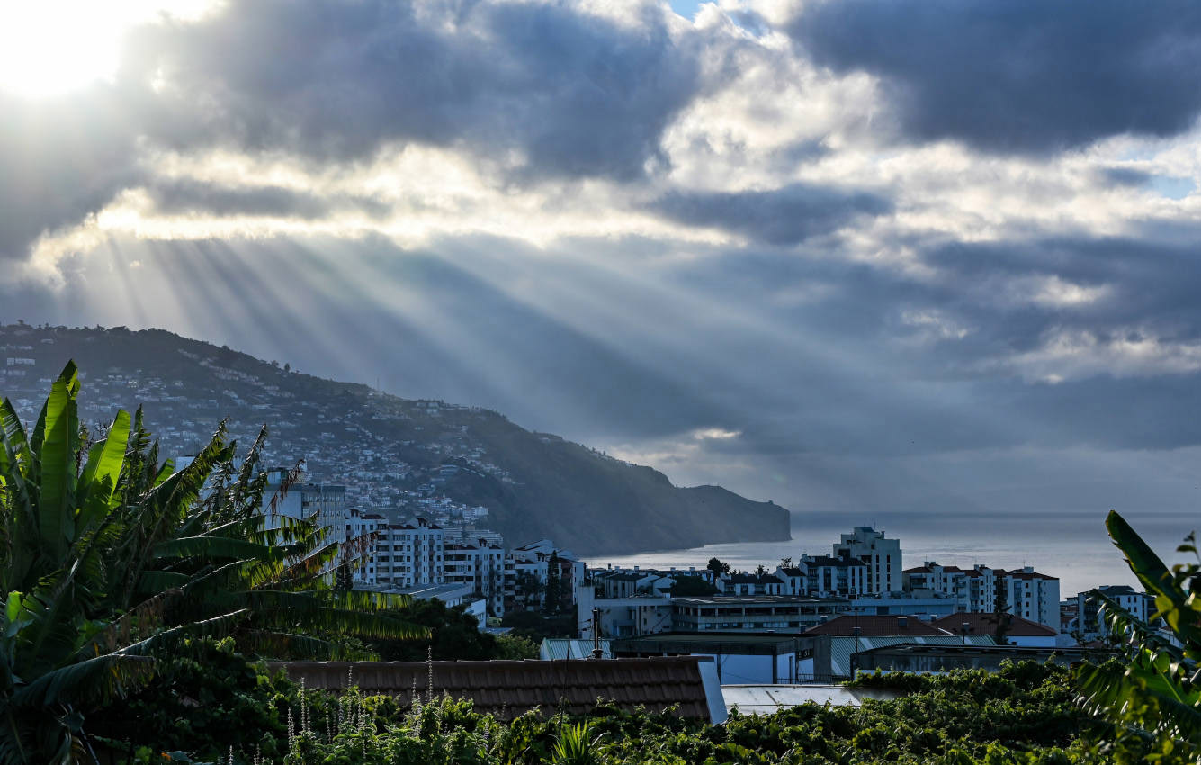 Фуншал, image of landscape/habitat.