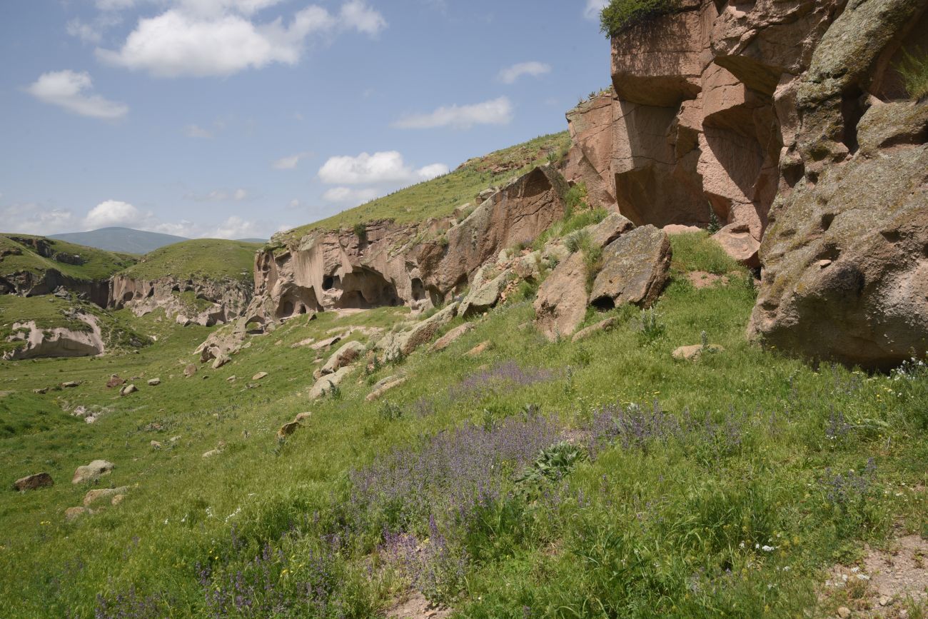 Цахкоцадзор, image of landscape/habitat.