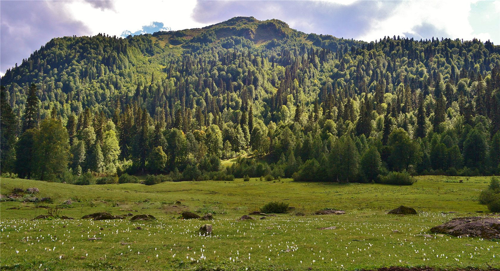 Авадхара (Ауадхара), image of landscape/habitat.
