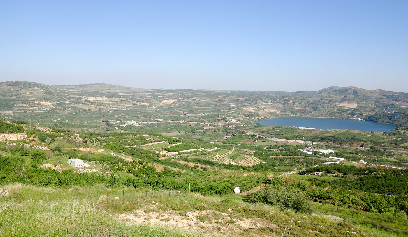 Голанские высоты, image of landscape/habitat.