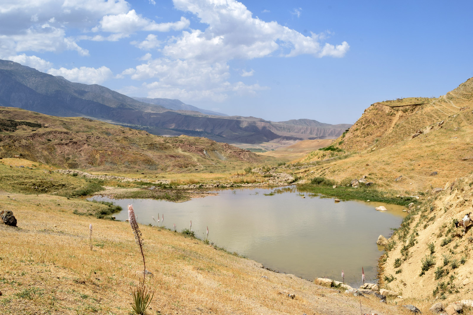 Окрестности кишлака Хумман, image of landscape/habitat.