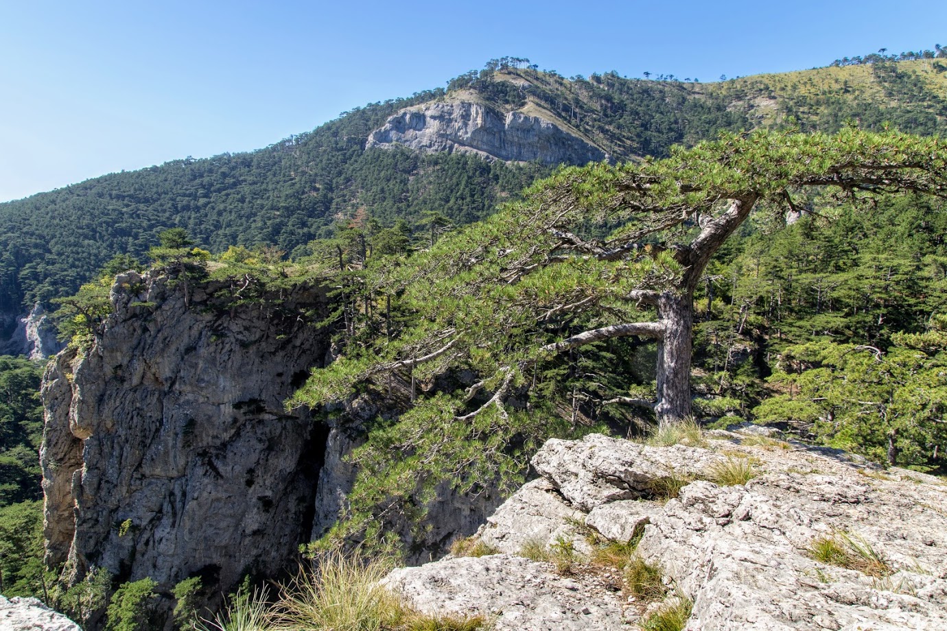 Ущелье Уч-Кош, image of landscape/habitat.