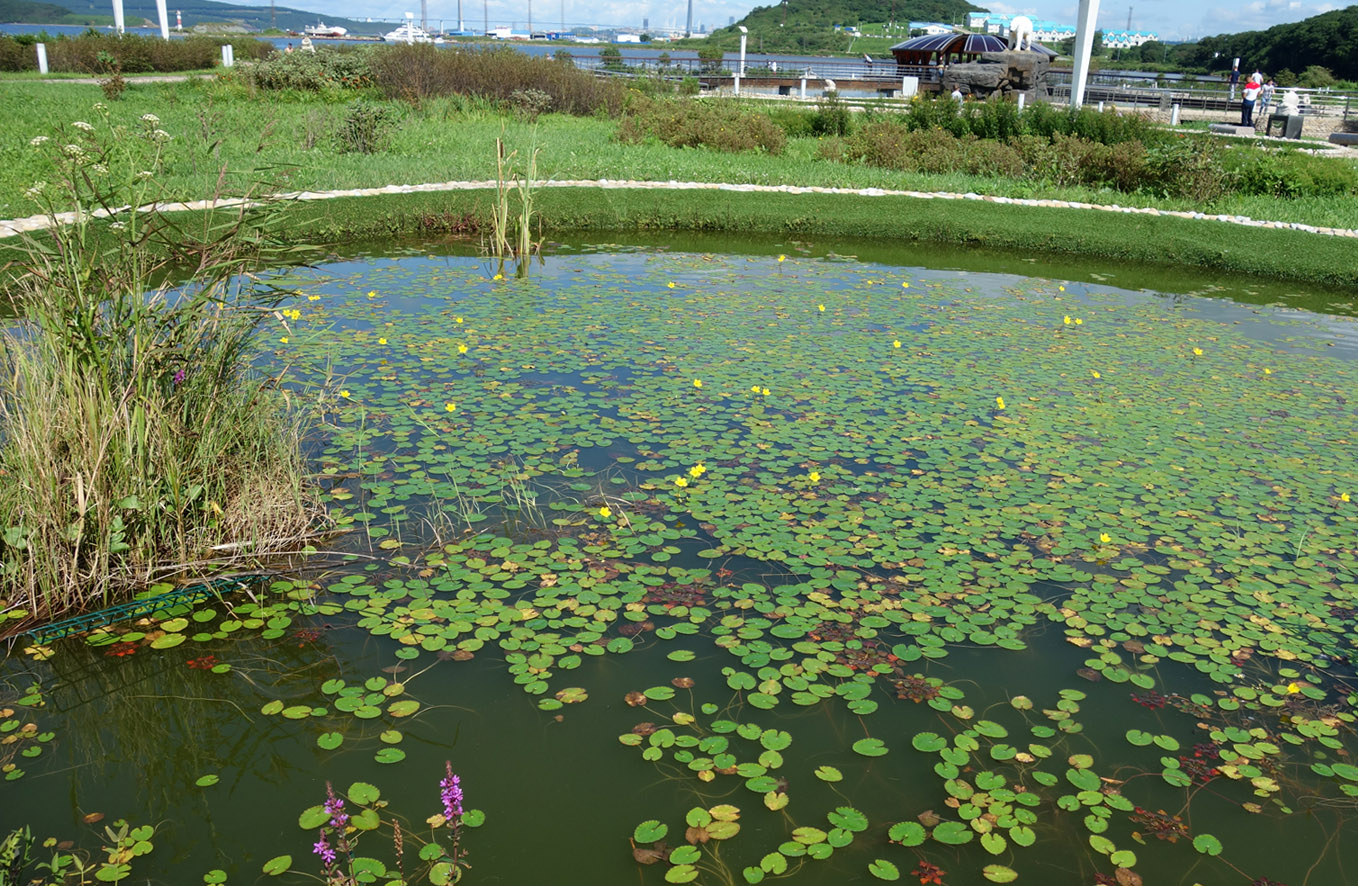 Океанариум, image of landscape/habitat.