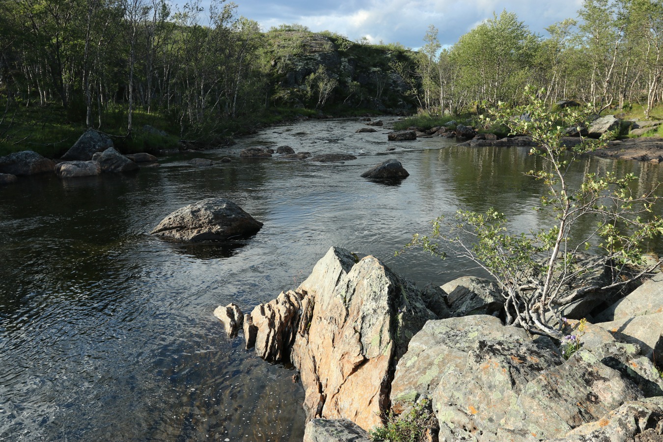 Юринга, image of landscape/habitat.