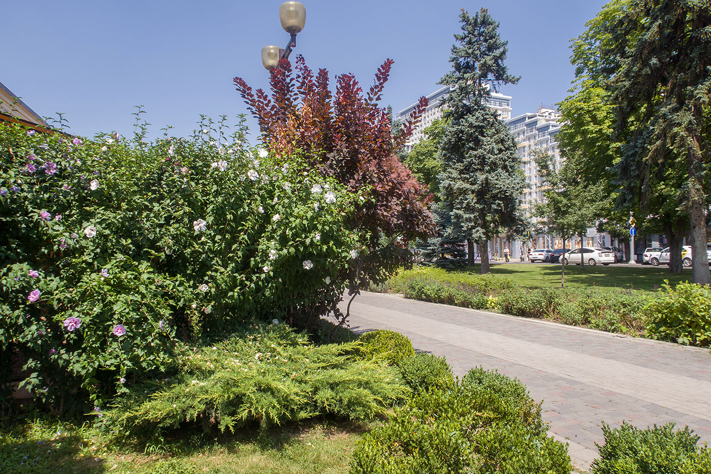 Александровский бульвар, изображение ландшафта.