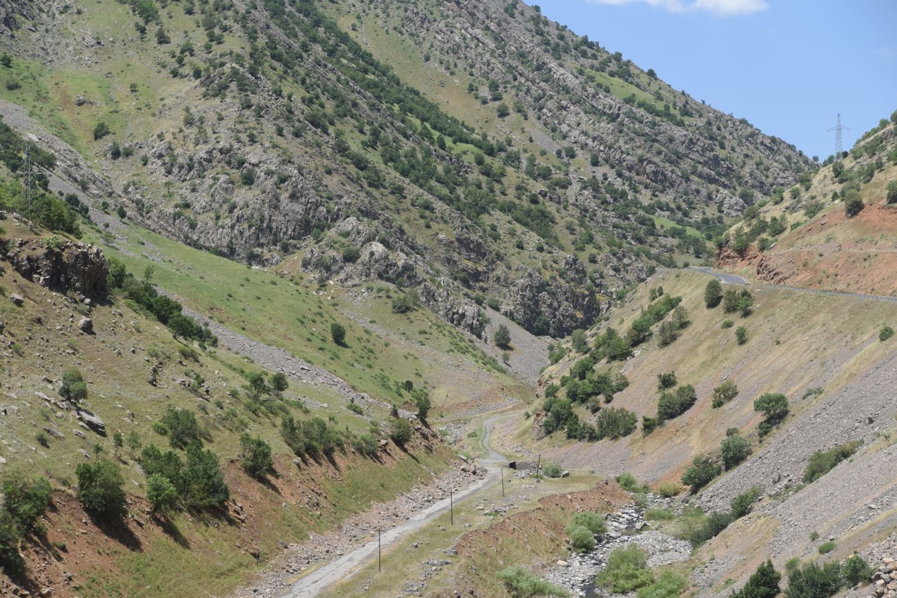 Гюзельдери, image of landscape/habitat.