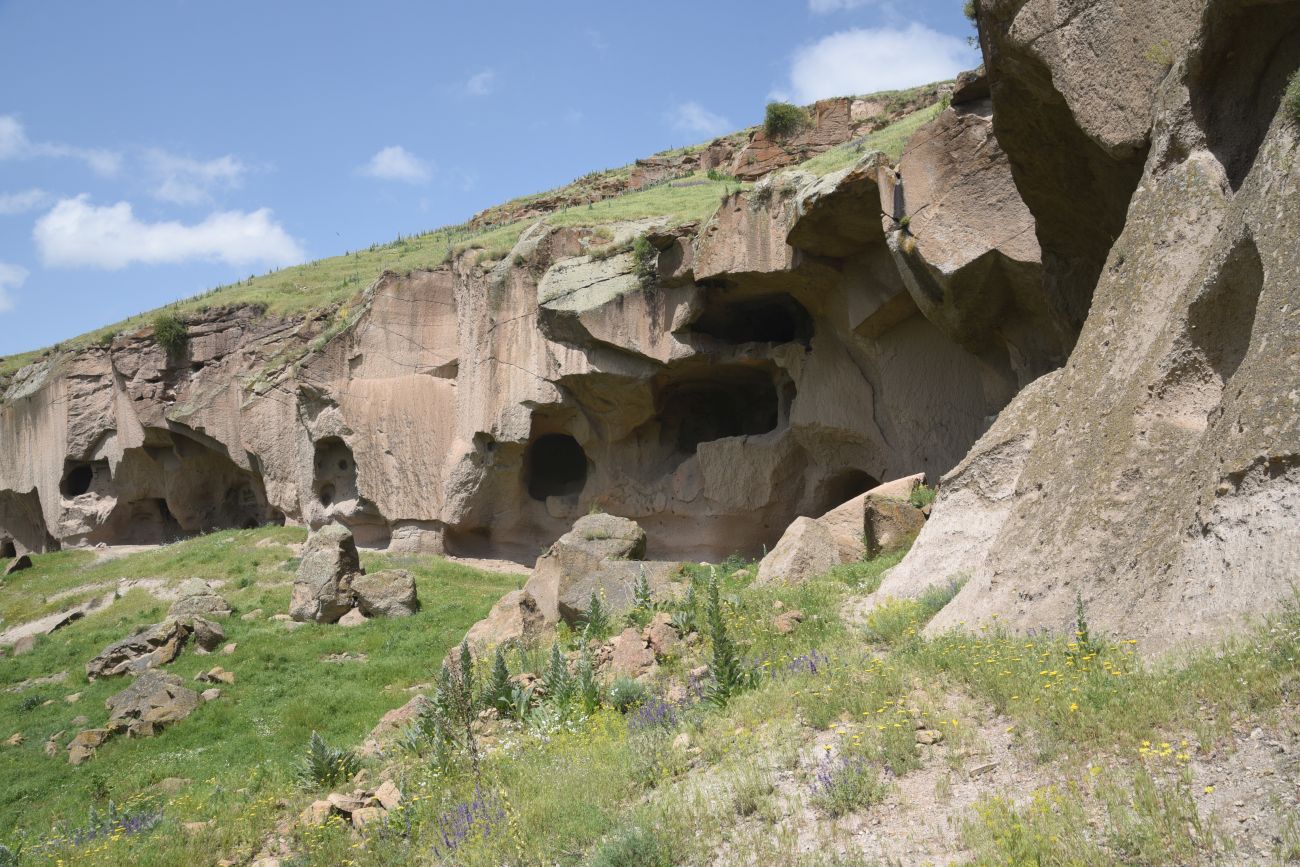 Цахкоцадзор, image of landscape/habitat.
