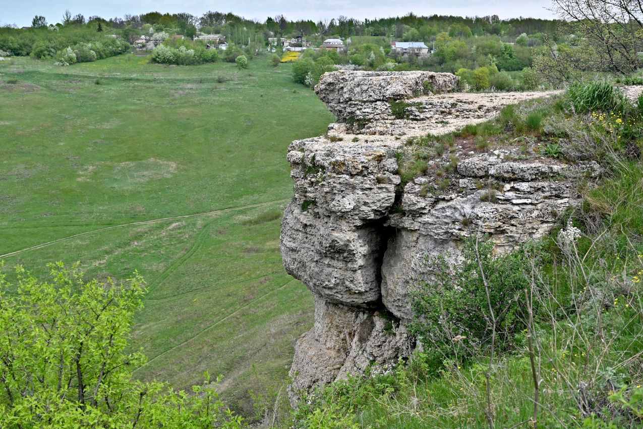 Долина реки Воргол, image of landscape/habitat.