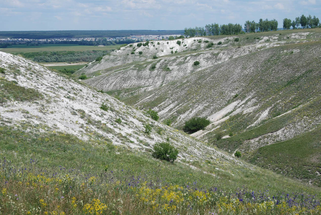Дивногорье, image of landscape/habitat.