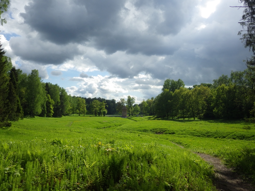 Павловск, image of landscape/habitat.