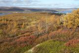 Image of landscape