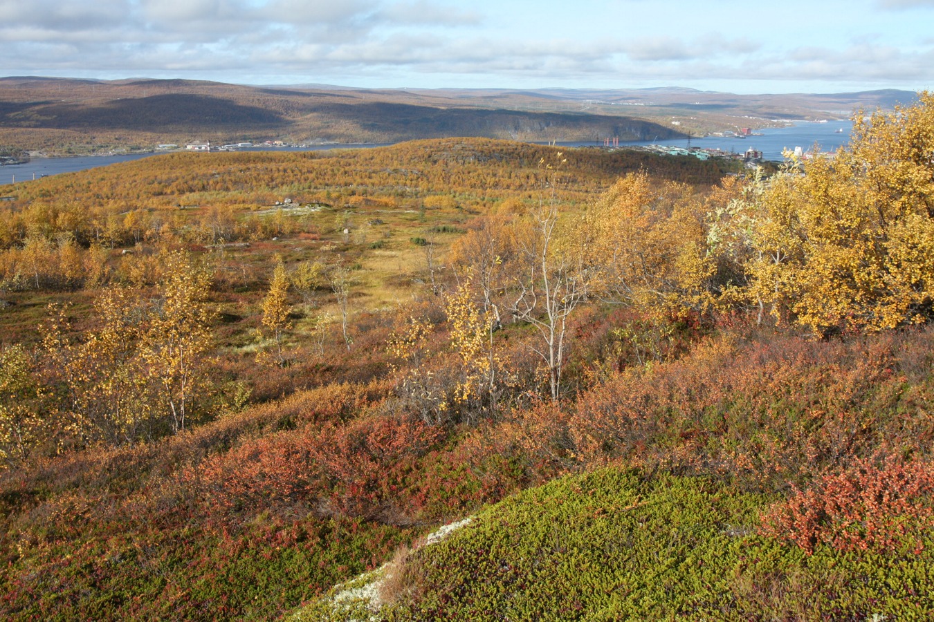 Горелая сопка, image of landscape/habitat.