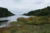 Image of landscape