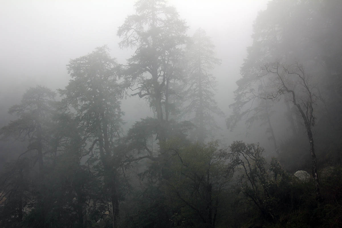 Джигме Джорджи, image of landscape/habitat.