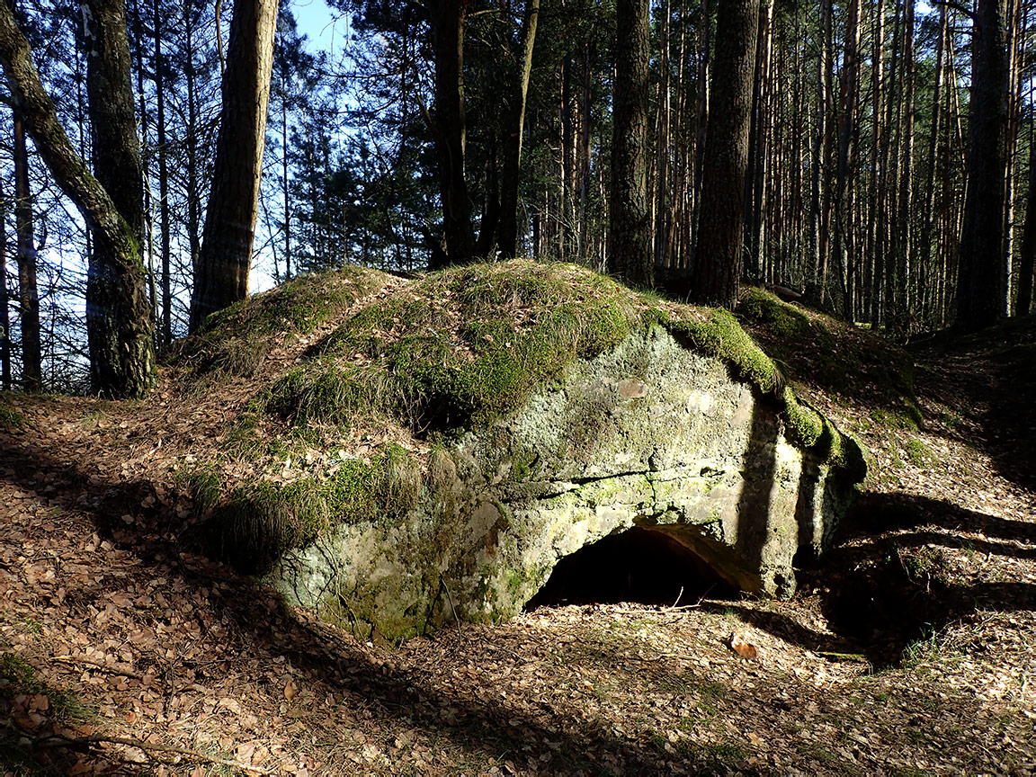 Национальный парк "Нарочанский", image of landscape/habitat.