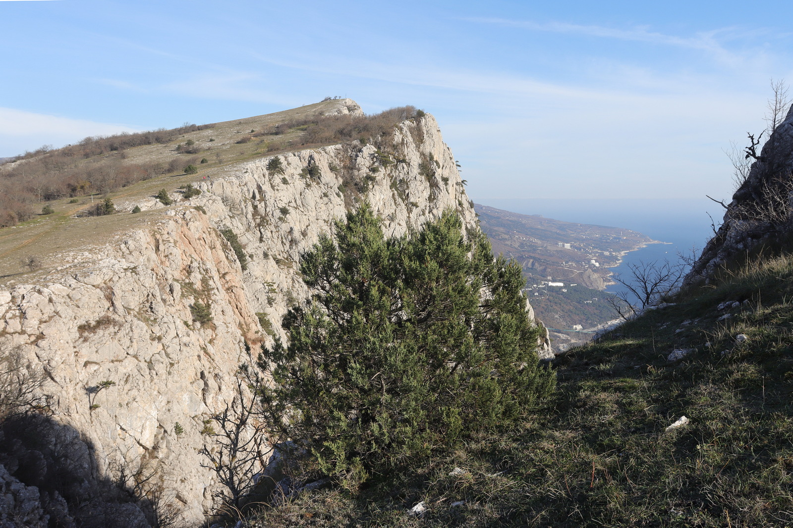 Ай-Петринская яйла, image of landscape/habitat.