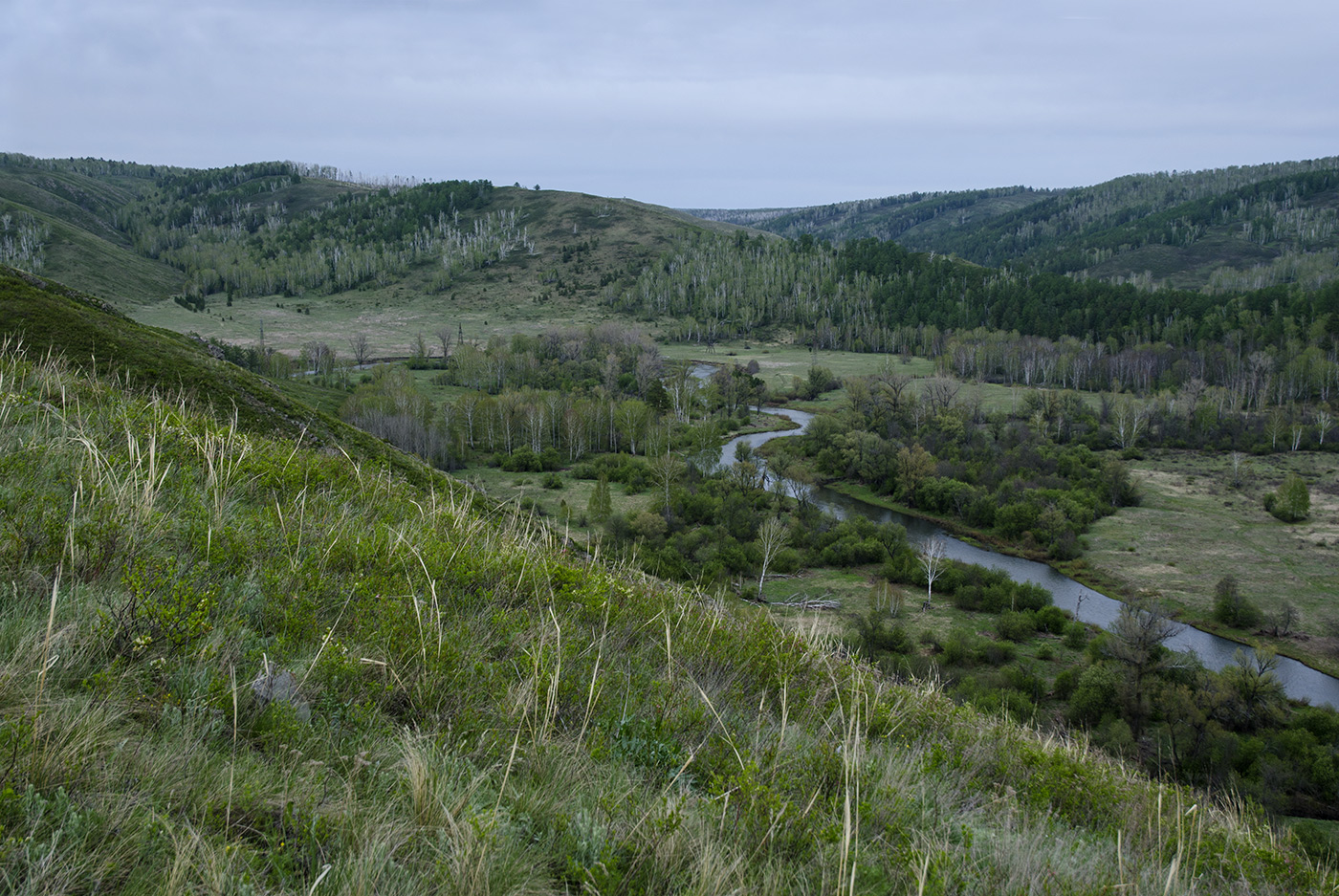 Уразбаево, изображение ландшафта.
