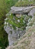 Долина реки Воргол, image of landscape/habitat.