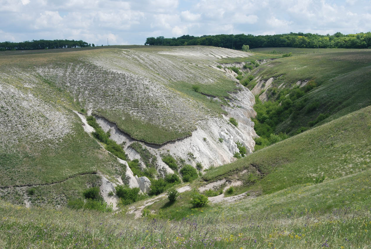 Дивногорье, image of landscape/habitat.