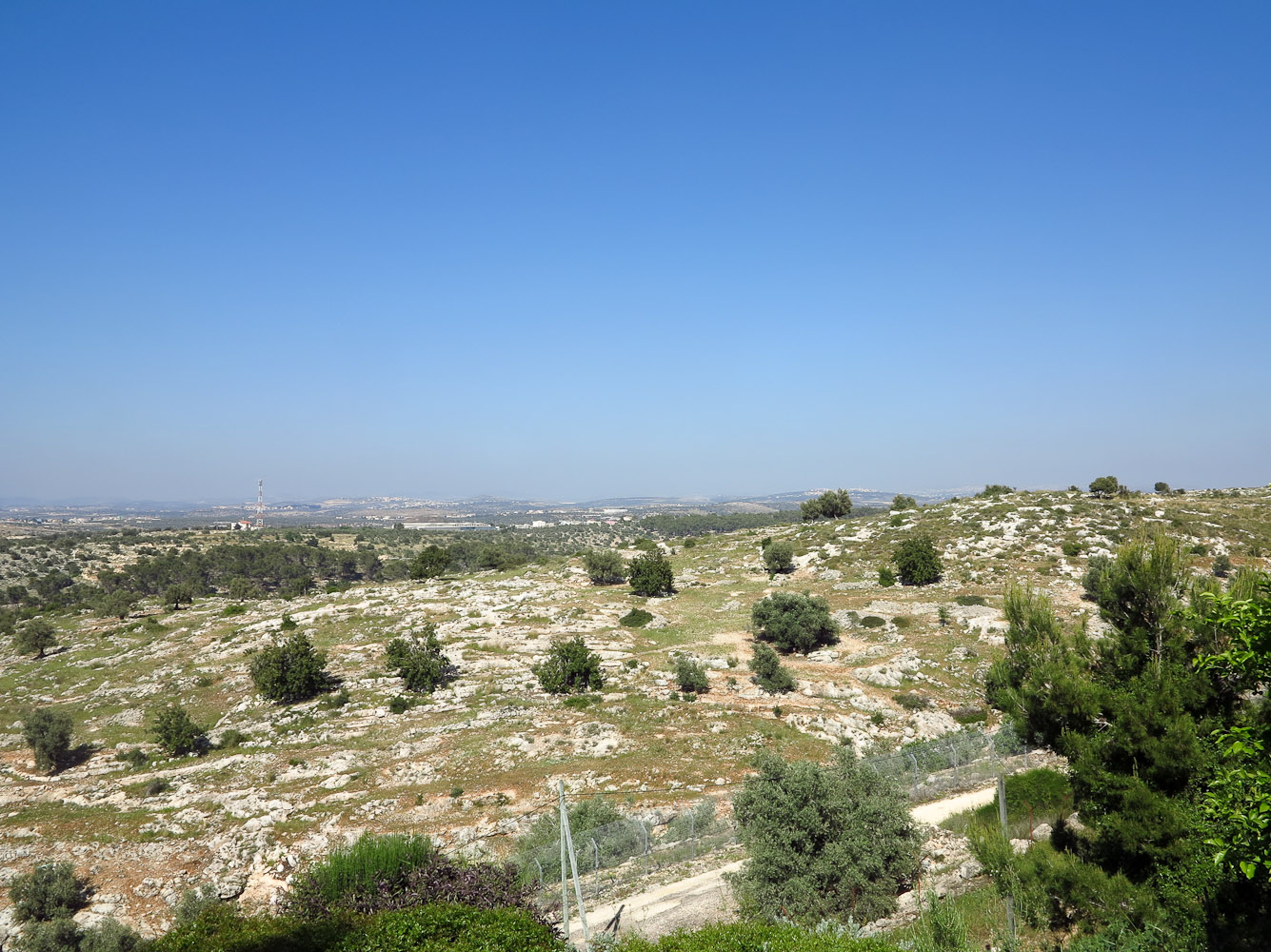 Самария, image of landscape/habitat.