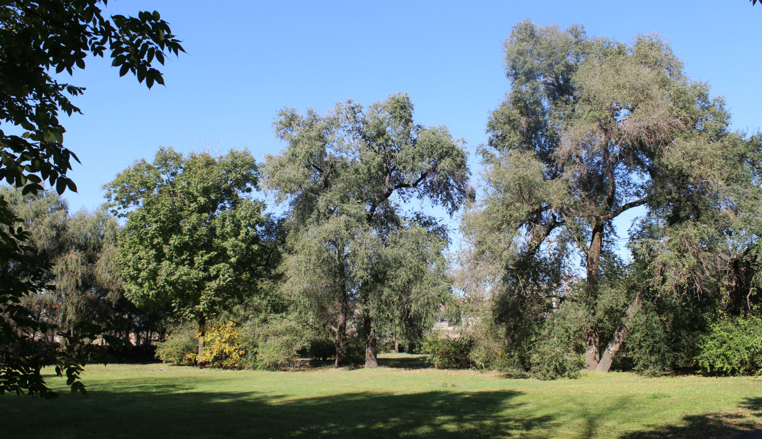 Харбинский ботанический сад, image of landscape/habitat.