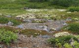 Image of landscape