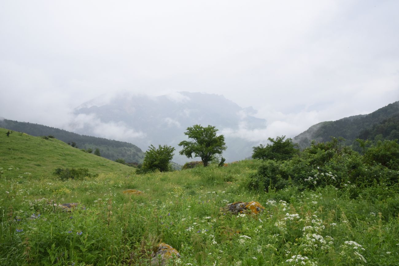 Нижний Кяхк и окрестности, image of landscape/habitat.