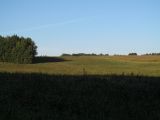 Image of landscape