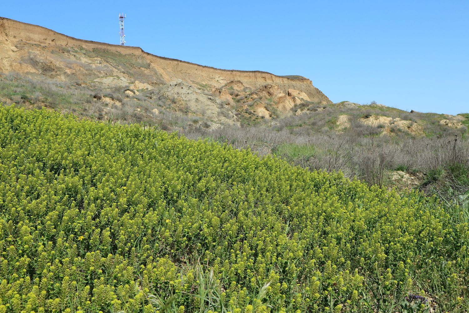 Железный Рог, image of landscape/habitat.